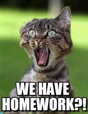 homework 